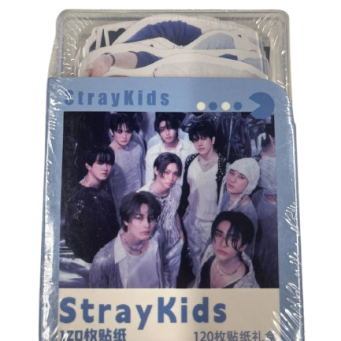 Набір наклейок у коробці 120 шт - Stray Kids - Основні контакти 